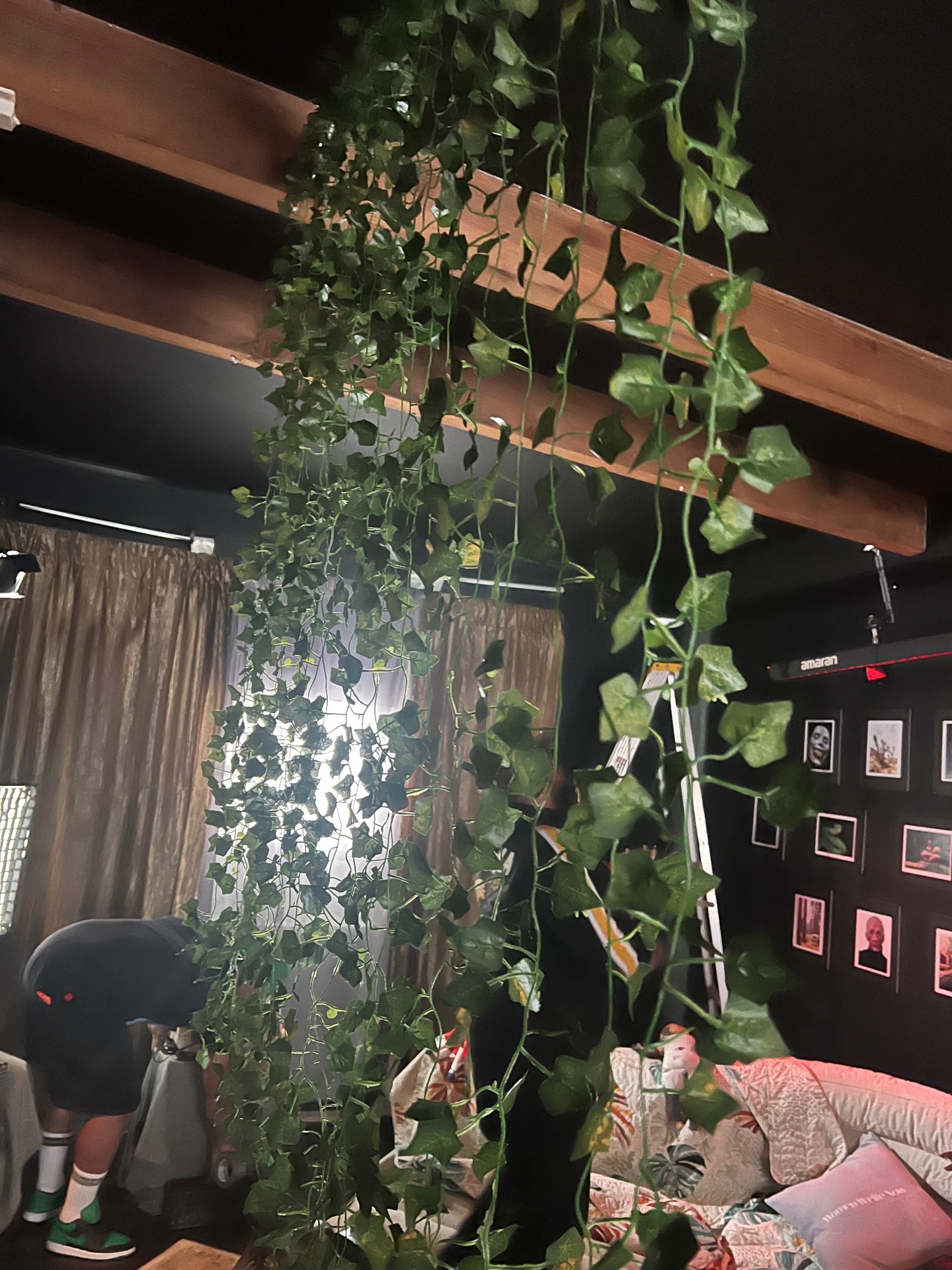 Hanging ivy across wooden beams over a wall of framed Dogbelly portraits.